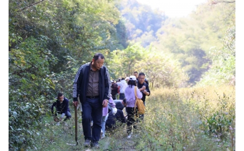 踏秋尋寶，聞香識藥！首屆神農(nóng)杯野外識藥大賽在株洲鳳凰山景區(qū)成功舉辦！