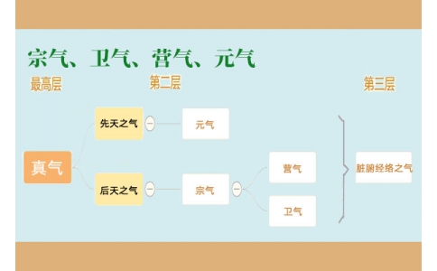 中醫(yī)里的“宗氣”、“衛(wèi)氣”、“營氣”、“元氣”